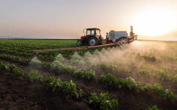 Pest Prevention Services in Wynne, AR