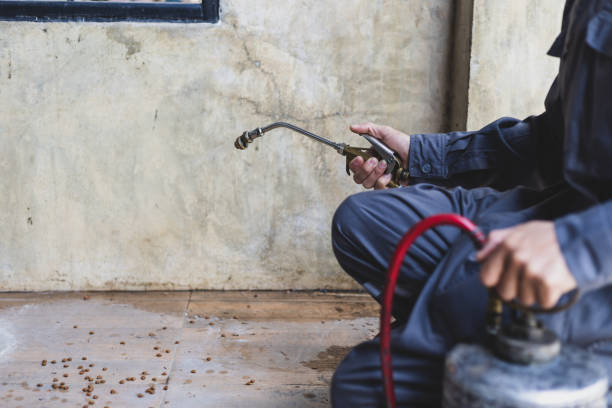 Best Pest Control Cost  in Wynne, AR